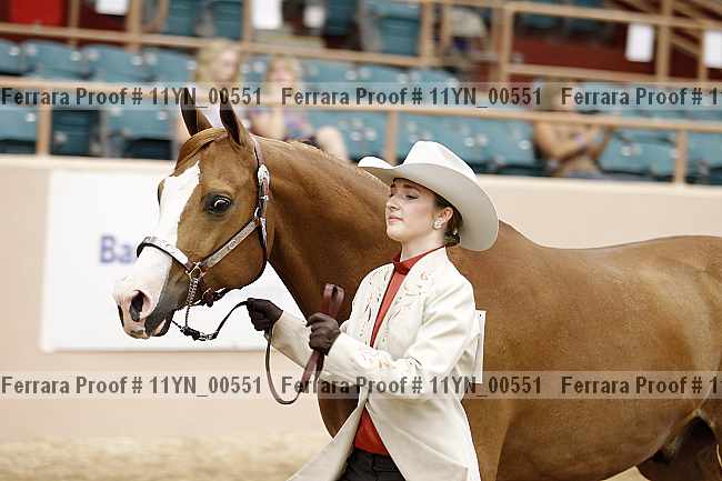 Proof 11yn_00551