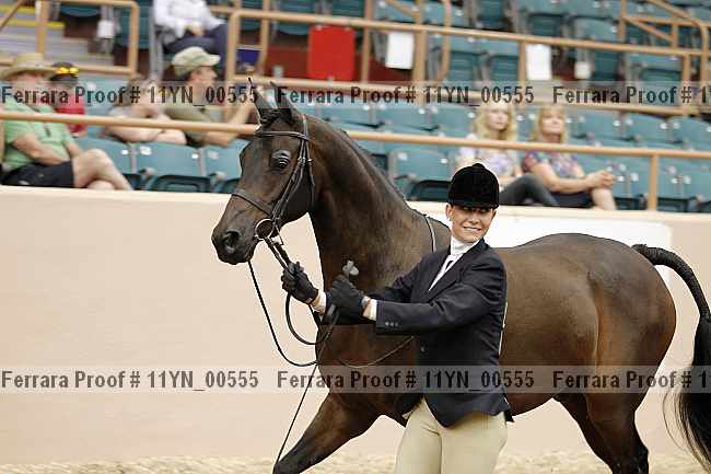 Proof 11yn_00555