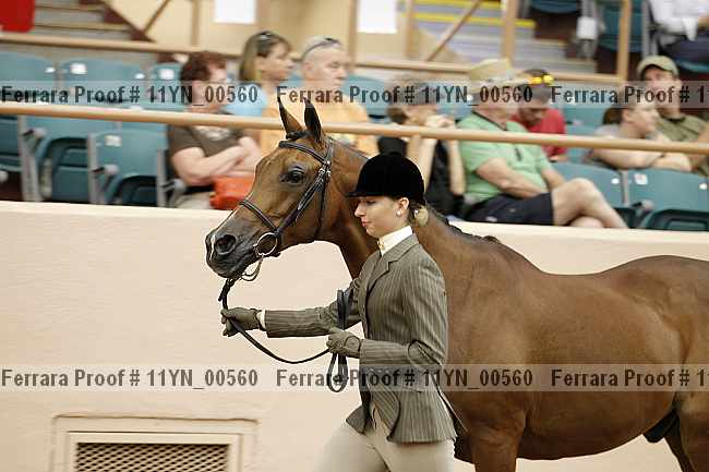 Proof 11yn_00560