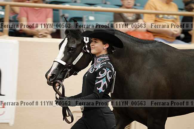 Proof 11yn_00563
