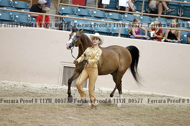 Proof 11yn_00577