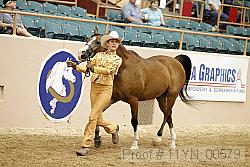 11yn_00579 proof