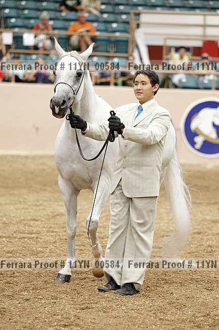 Proof 11yn_00584