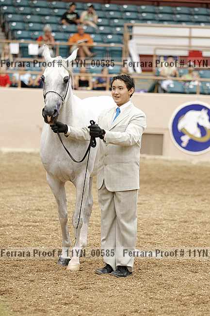 Proof 11yn_00585