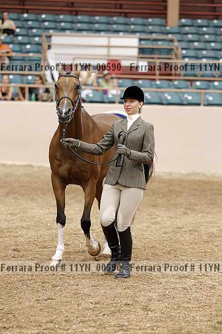 Proof 11yn_00590