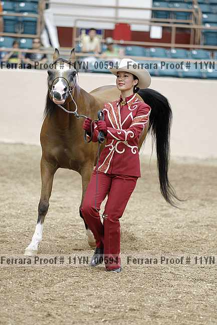 Proof 11yn_00594