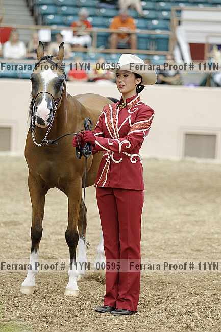 Proof 11yn_00595