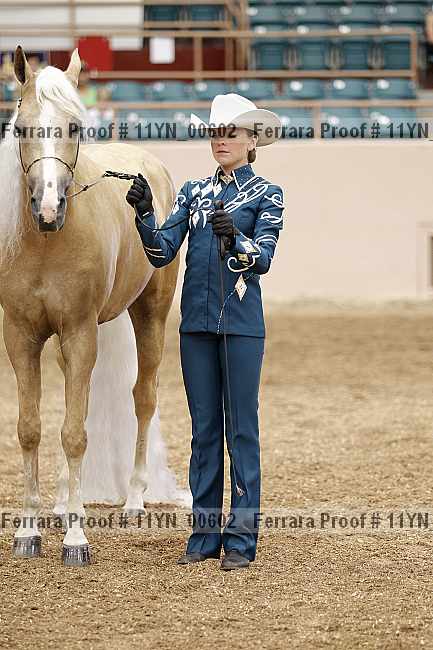 Proof 11yn_00602