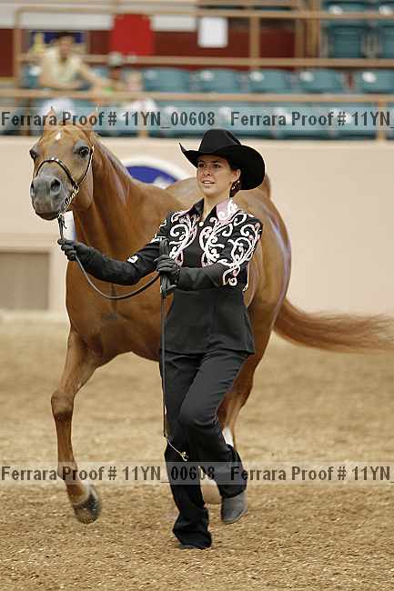 Proof 11yn_00608
