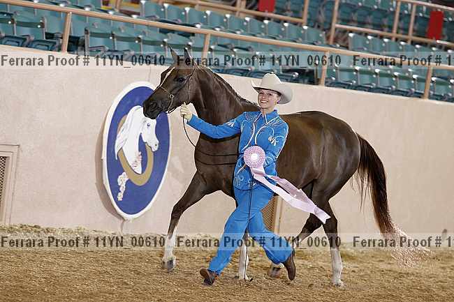 Proof 11yn_00610