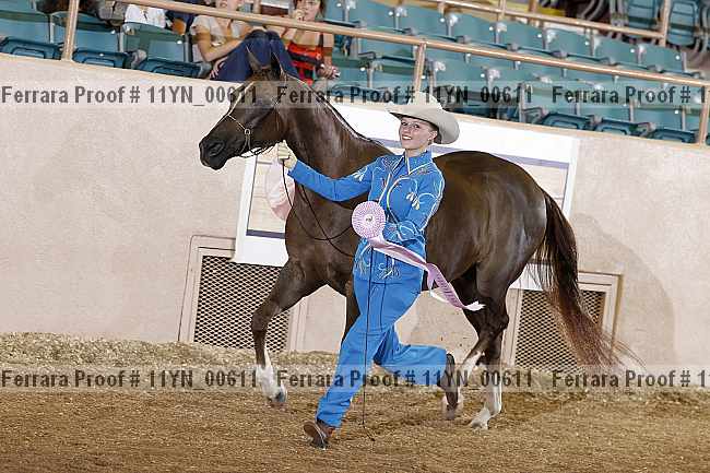 Proof 11yn_00611