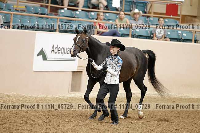 Proof 11yn_05729
