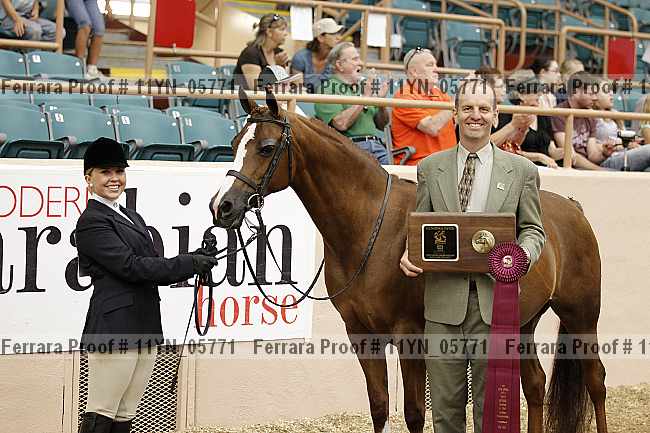 Proof 11yn_05771
