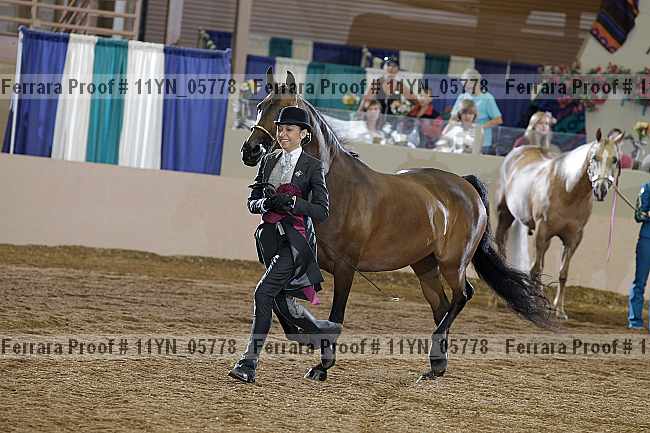 Proof 11yn_05778