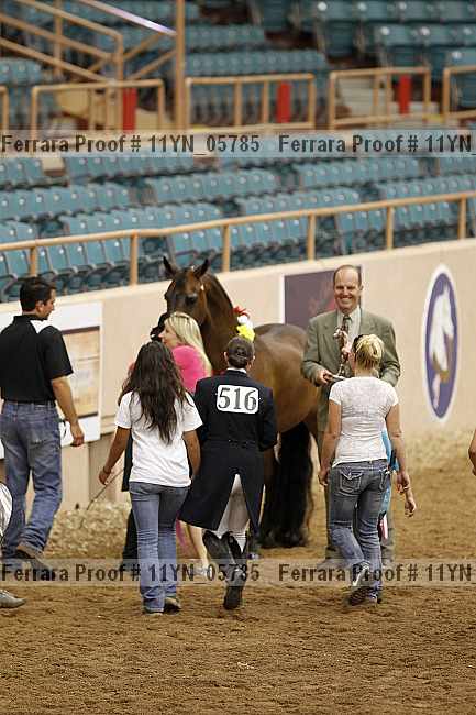 Proof 11yn_05785