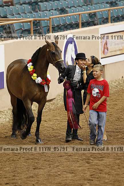 Proof 11yn_05791