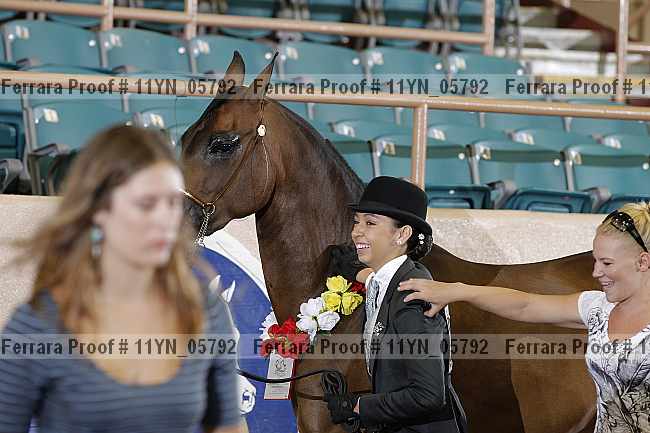 Proof 11yn_05792