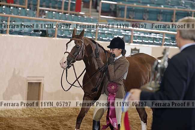 Proof 11yn_05797