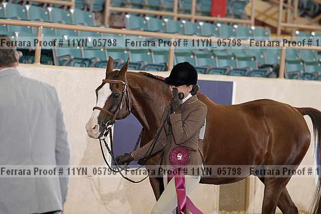 Proof 11yn_05798