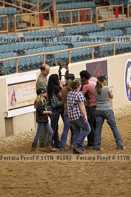Proof 11yn_05802