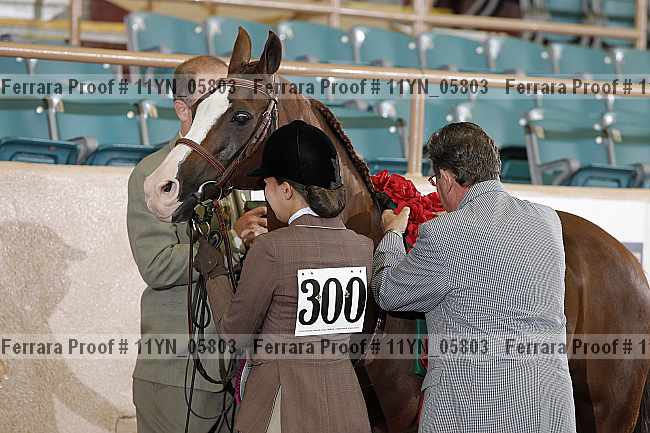 Proof 11yn_05803