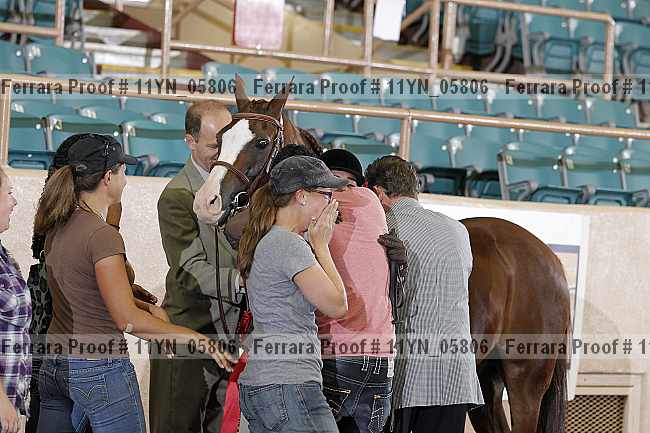 Proof 11yn_05806