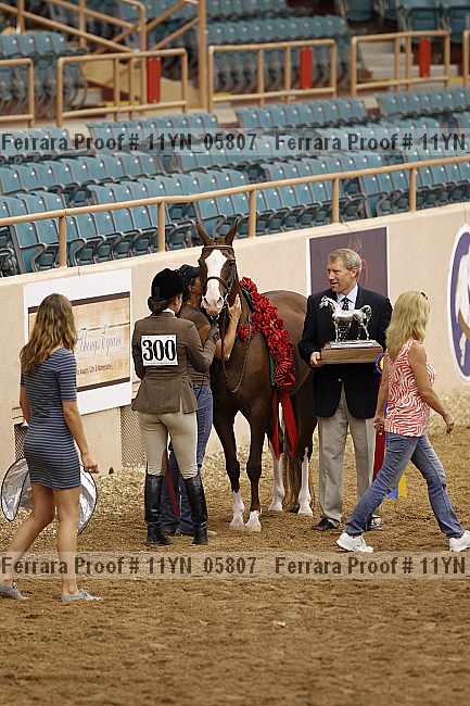 Proof 11yn_05807