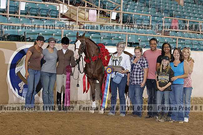 Proof 11yn_05809
