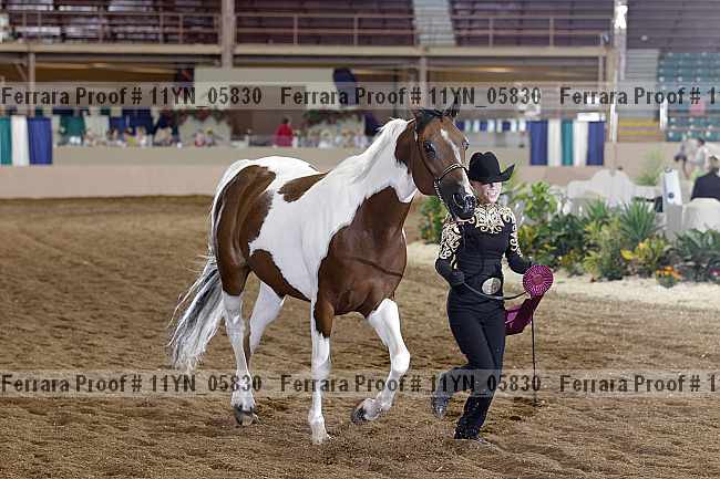 Proof 11yn_05830