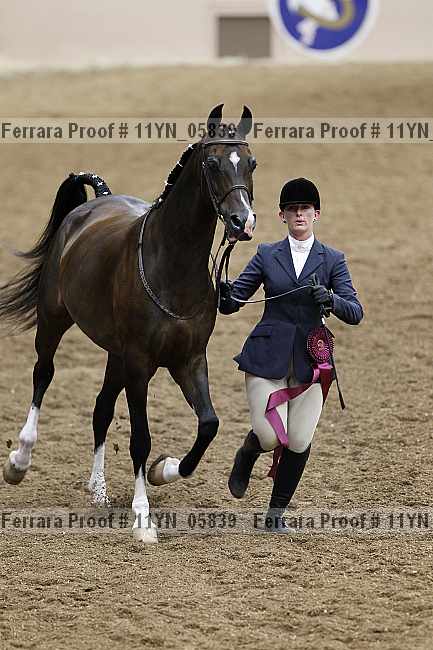 Proof 11yn_05839