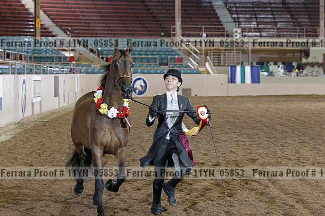 Proof 11yn_05853