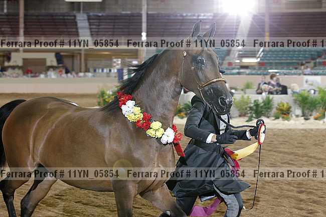 Proof 11yn_05854