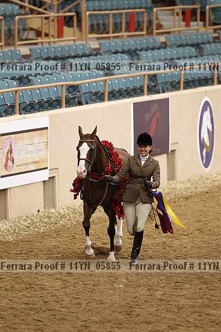 Proof 11yn_05855