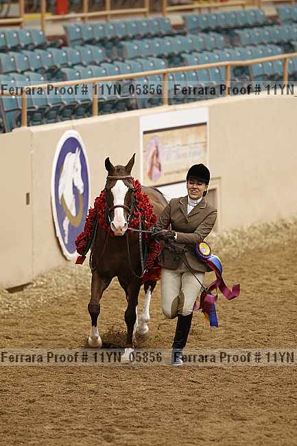 Proof 11yn_05856