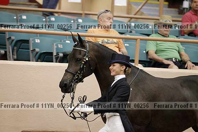Proof 11yn_00256