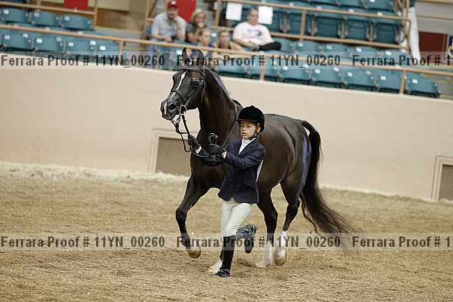 Proof 11yn_00260