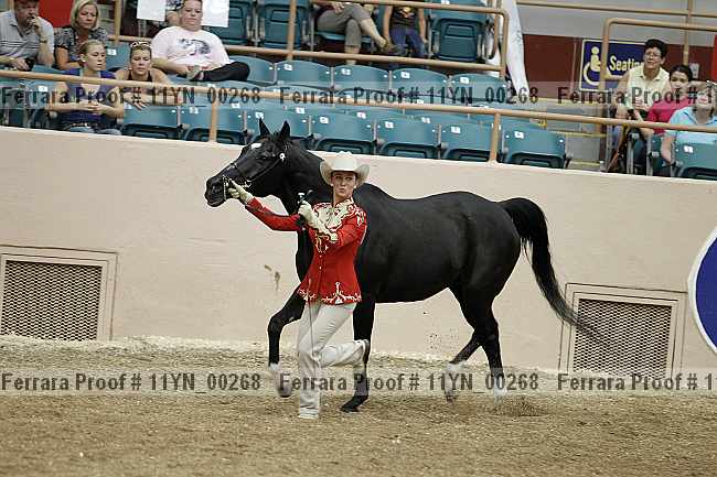 Proof 11yn_00268