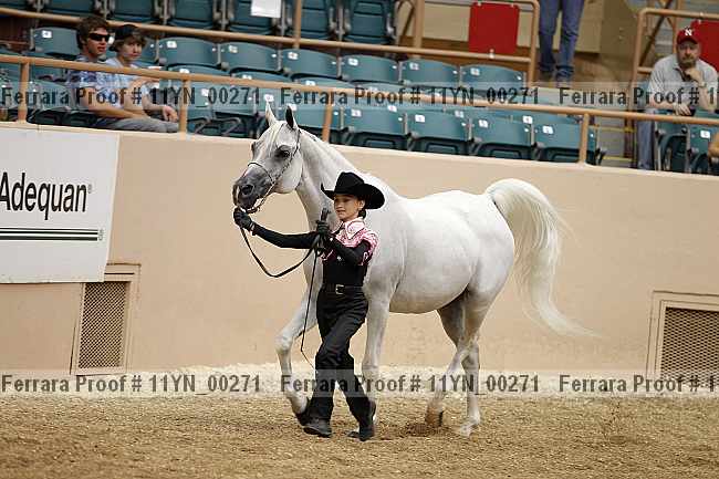 Proof 11yn_00271