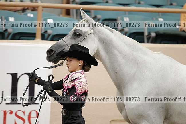 Proof 11yn_00273