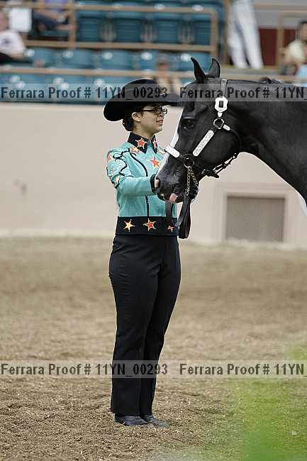 Proof 11yn_00293