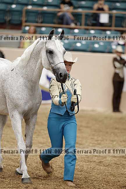 Proof 11yn_00296