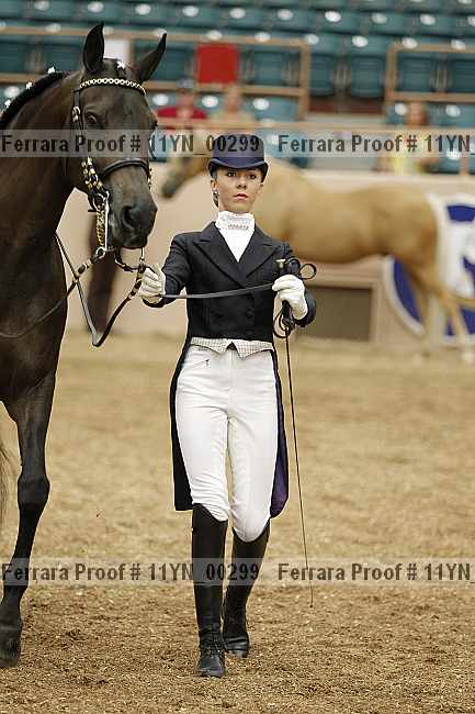 Proof 11yn_00299