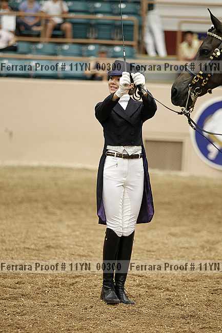 Proof 11yn_00300