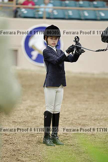 Proof 11yn_00305