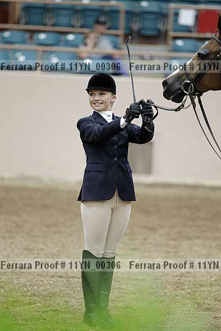 Proof 11yn_00306