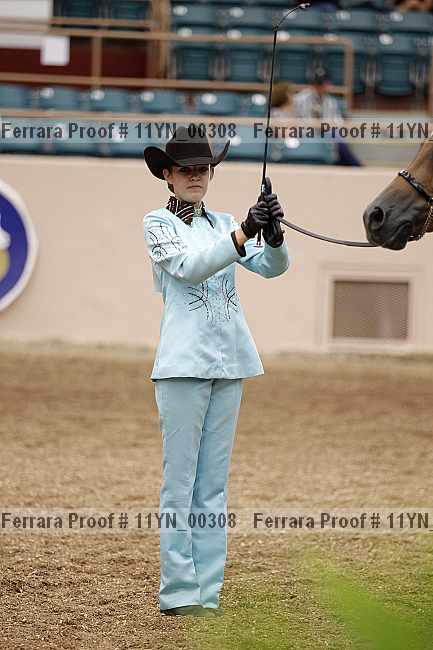 Proof 11yn_00308