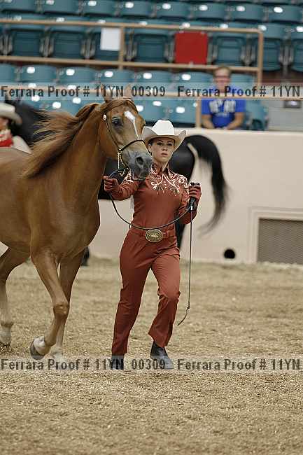 Proof 11yn_00309