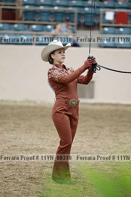 Proof 11yn_00310