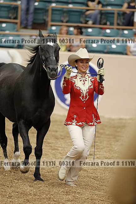 Proof 11yn_00311