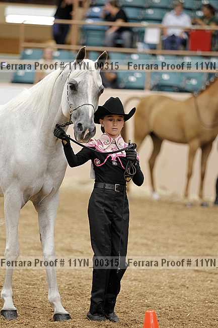 Proof 11yn_00315